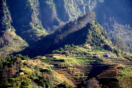 Madeira terasovitá pole s terénními hranami