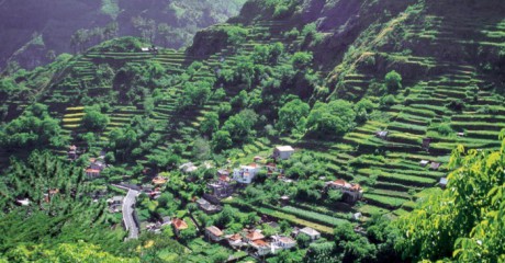 Madeira terasovité obdělávání